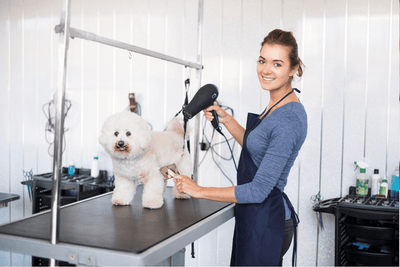 Top-quality dog grooming services in Meridian